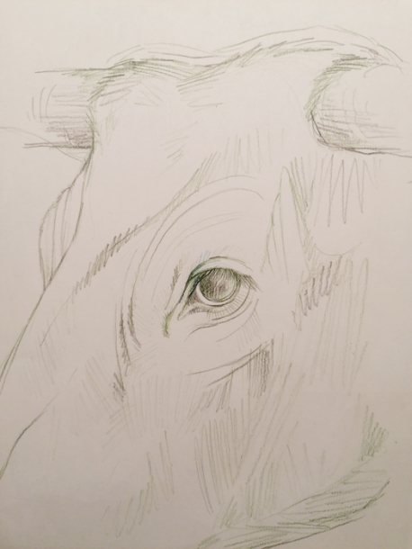 vach'étude